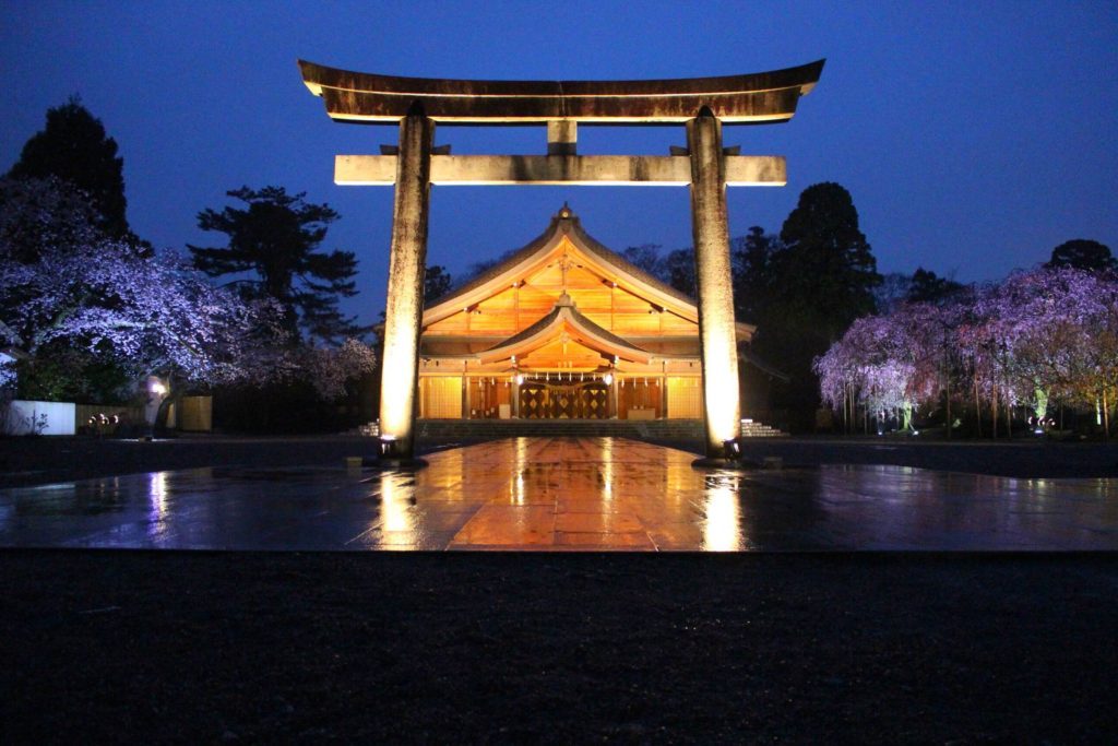 富山県護国神社の夜桜 春には桜の名所になるので行ってきた 富山の遊び場